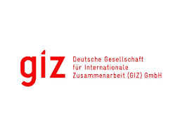 GIZ logo
